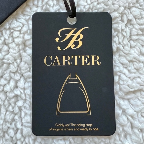 Honey Birdette Carter Brief Bondage Lingerie - Picture 7 of 10